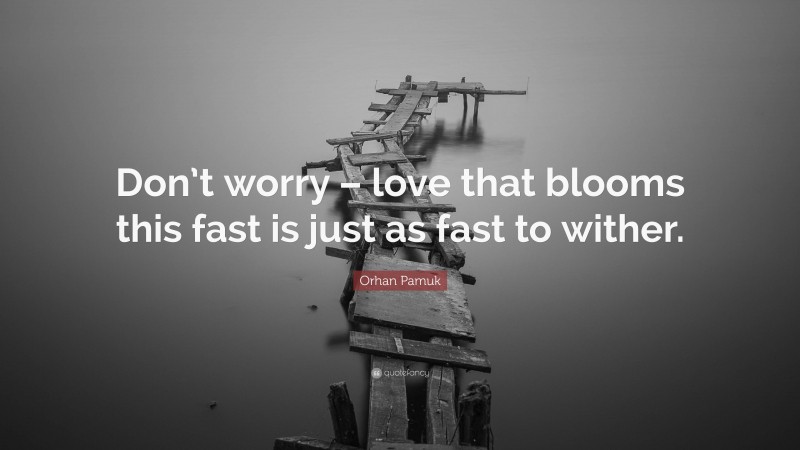 Orhan Pamuk Quote: “Don’t worry – love that blooms this fast is just as fast to wither.”