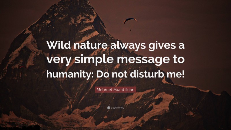 Mehmet Murat ildan Quote: “Wild nature always gives a very simple message to humanity: Do not disturb me!”