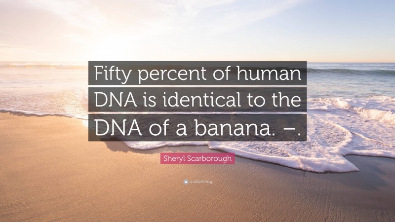 Sheryl Scarborough Quote: “Fifty percent of human DNA is identical to the DNA of a banana. –.”