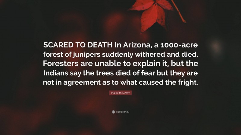 Malcolm Lowry Quote: “SCARED TO DEATH In Arizona, a 1000-acre forest of junipers suddenly withered and died. Foresters are unable to explain it, but the Indians say the trees died of fear but they are not in agreement as to what caused the fright.”