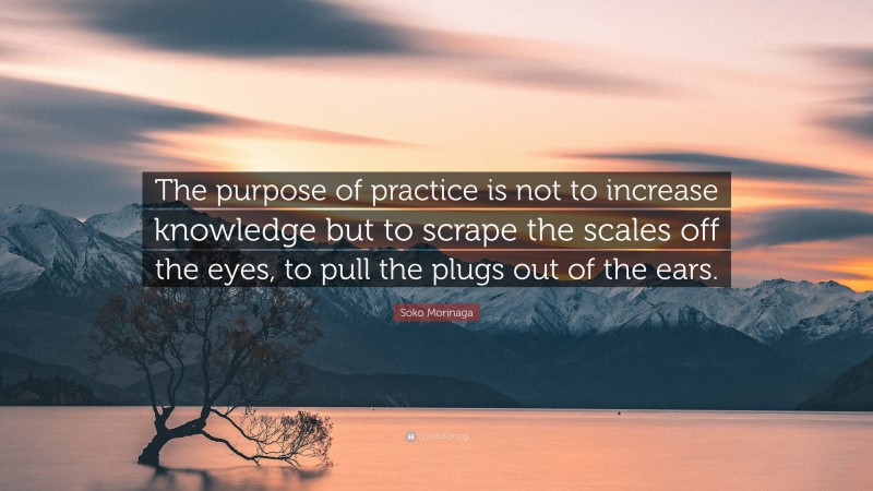 Soko Morinaga Quote: “The purpose of practice is not to increase knowledge but to scrape the scales off the eyes, to pull the plugs out of the ears.”