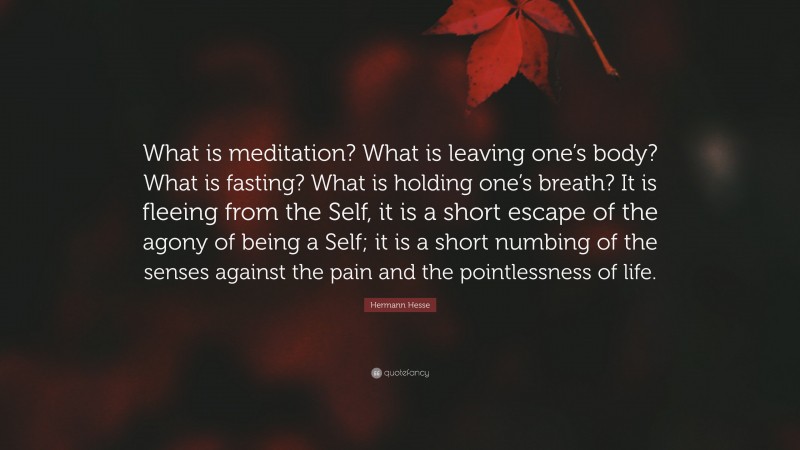 Hermann Hesse Quote: “What is meditation? What is leaving one’s body? What is fasting? What is holding one’s breath? It is fleeing from the Self, it is a short escape of the agony of being a Self; it is a short numbing of the senses against the pain and the pointlessness of life.”