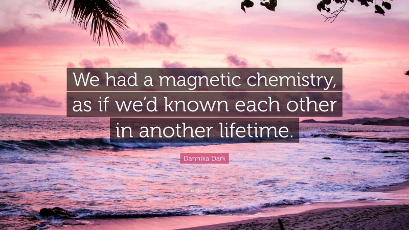 Dannika Dark Quote: “We had a magnetic chemistry, as if we’d known each other in another lifetime.”