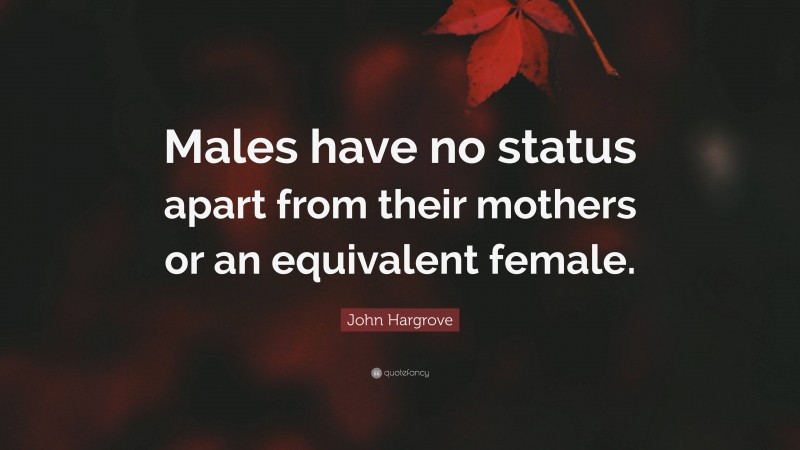 John Hargrove Quote: “Males have no status apart from their mothers or an equivalent female.”