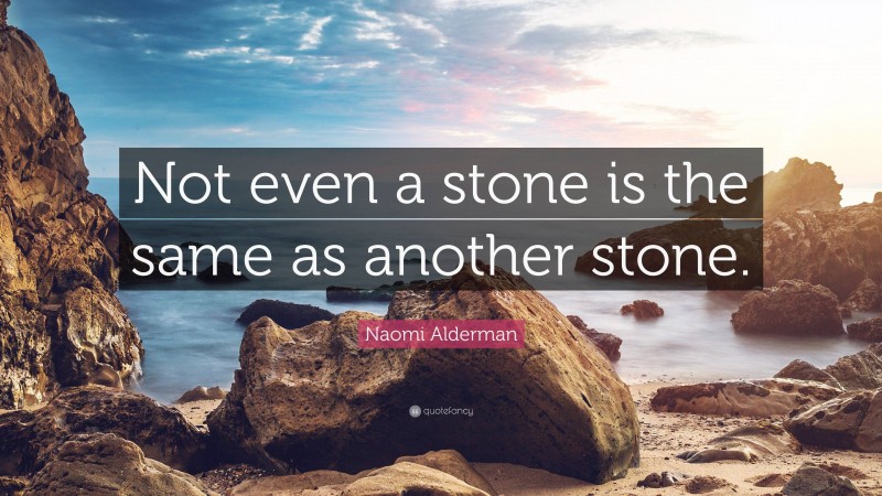Naomi Alderman Quote: “Not even a stone is the same as another stone.”