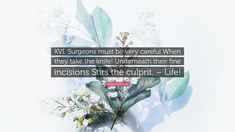 Emily Dickinson Quote: “XVI. Surgeons must be very careful When they take the knife! Underneath their fine incisions Stirs the culprit, – Life!”