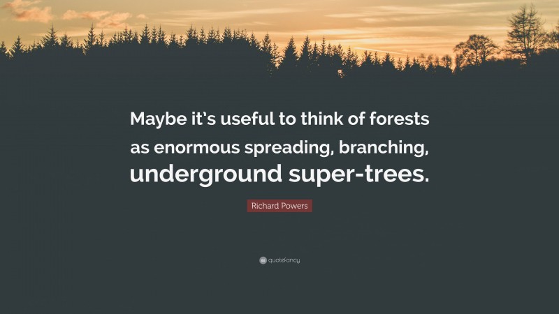 Richard Powers Quote: “Maybe it’s useful to think of forests as enormous spreading, branching, underground super-trees.”