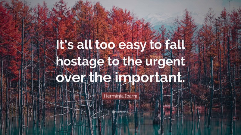 Herminia Ibarra Quote: “It’s all too easy to fall hostage to the urgent over the important.”