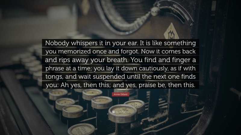 Annie Dillard Quote: “Nobody whispers it in your ear. It is like something you memorized once and forgot. Now it comes back and rips away your breath. You find and finger a phrase at a time; you lay it down cautiously, as if with tongs, and wait suspended until the next one finds you: Ah yes, then this; and yes, praise be, then this.”