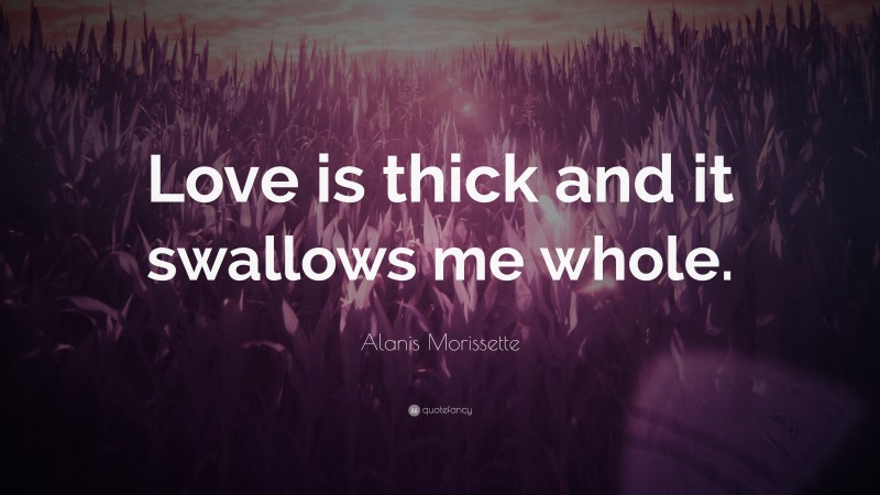 Alanis Morissette Quote: “Love is thick and it swallows me whole.”