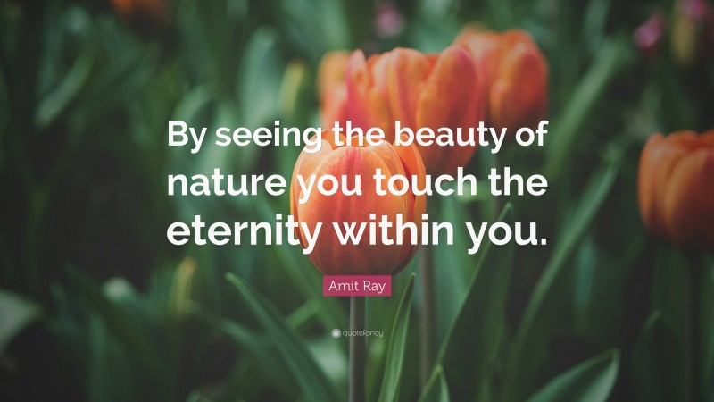 Amit Ray Quote: “By seeing the beauty of nature you touch the eternity within you.”