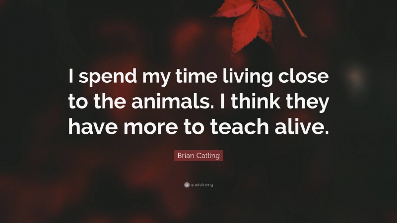 Brian Catling Quote: “I spend my time living close to the animals. I think they have more to teach alive.”