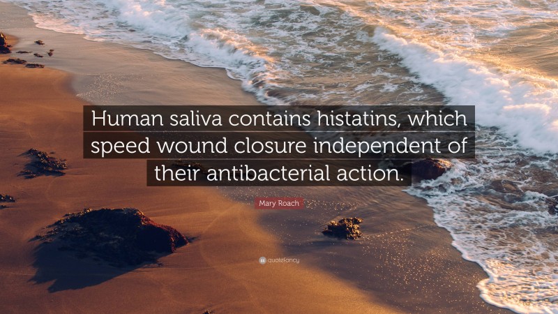 Mary Roach Quote: “Human saliva contains histatins, which speed wound closure independent of their antibacterial action.”