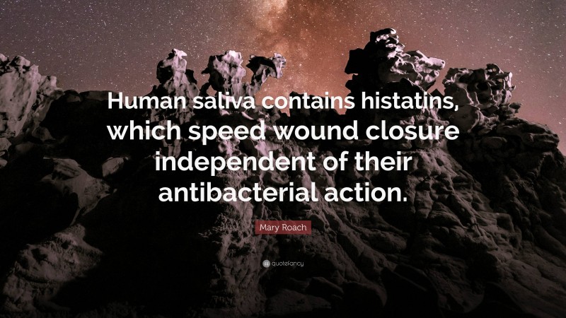 Mary Roach Quote: “Human saliva contains histatins, which speed wound closure independent of their antibacterial action.”