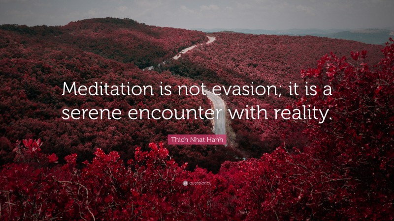 Thich Nhat Hanh Quote: “Meditation is not evasion; it is a serene encounter with reality.”