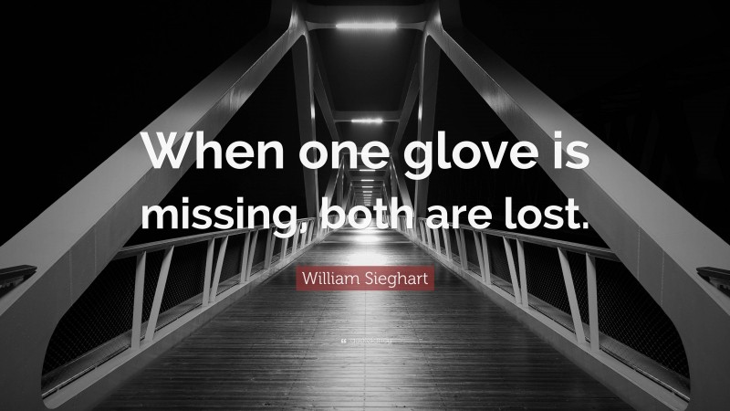 William Sieghart Quote: “When one glove is missing, both are lost.”