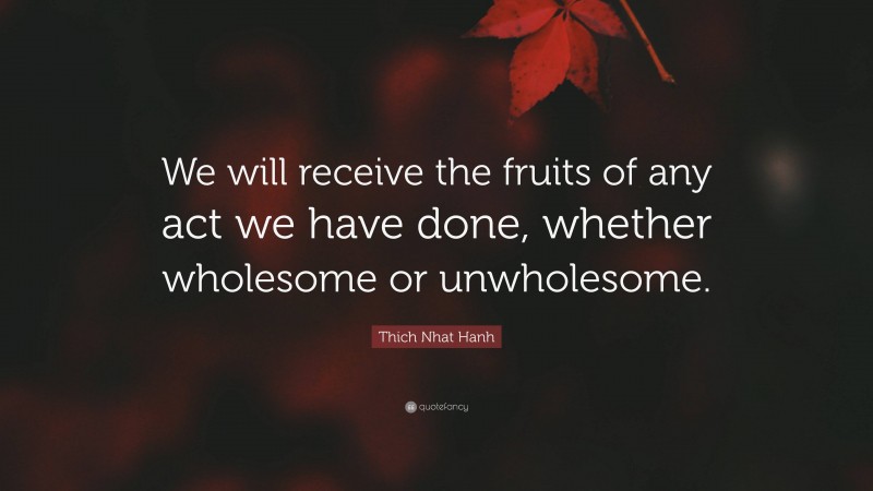 Thich Nhat Hanh Quote: “We will receive the fruits of any act we have done, whether wholesome or unwholesome.”