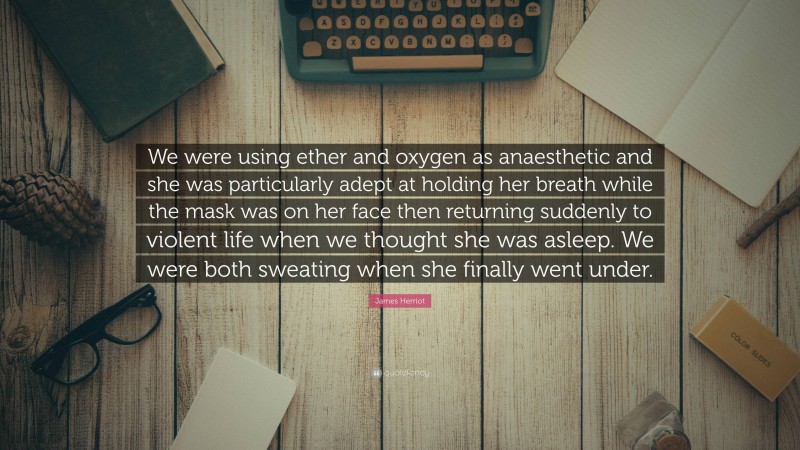 James Herriot Quote: “We were using ether and oxygen as anaesthetic and she was particularly adept at holding her breath while the mask was on her face then returning suddenly to violent life when we thought she was asleep. We were both sweating when she finally went under.”