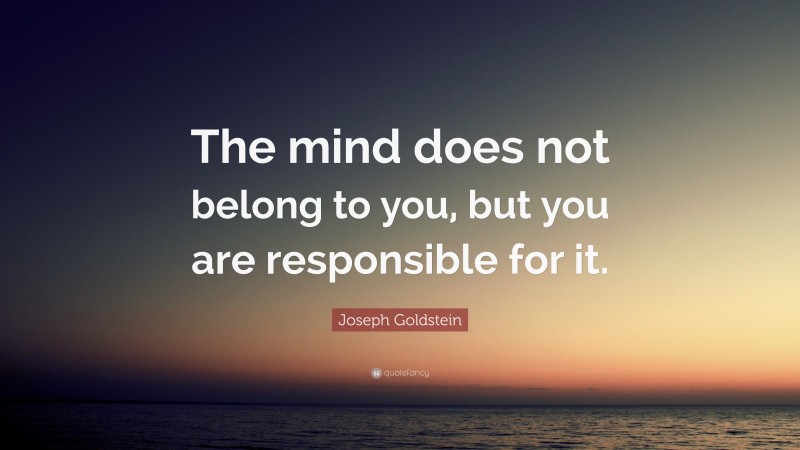 Joseph Goldstein Quote: “The mind does not belong to you, but you are responsible for it.”