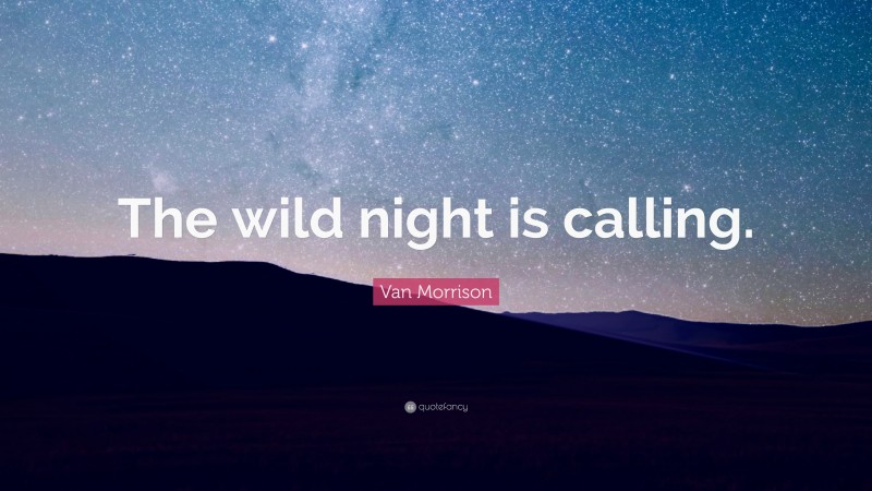 Van Morrison Quote: “The wild night is calling.”