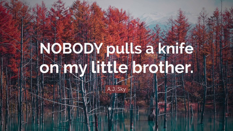 A.J. Sky Quote: “NOBODY pulls a knife on my little brother.”
