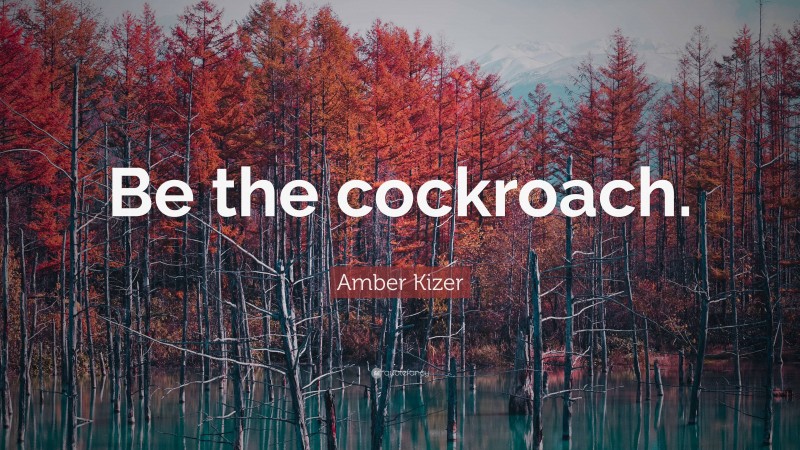 Amber Kizer Quote: “Be the cockroach.”