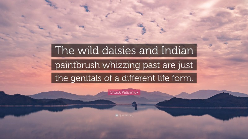 Chuck Palahniuk Quote: “The wild daisies and Indian paintbrush whizzing past are just the genitals of a different life form.”