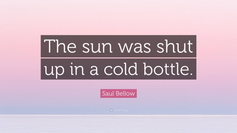 Saul Bellow Quote: “The sun was shut up in a cold bottle.”