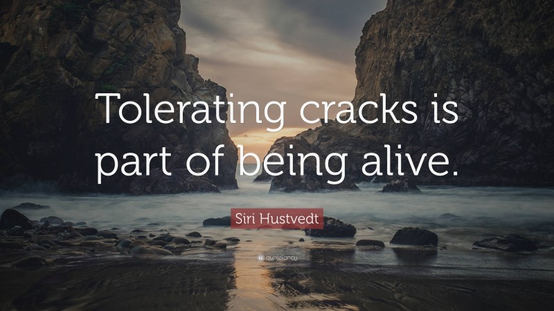 Siri Hustvedt Quote: “Tolerating cracks is part of being alive.”