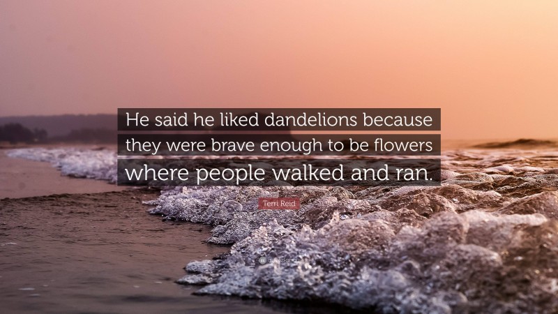 Terri Reid Quote: “He said he liked dandelions because they were brave enough to be flowers where people walked and ran.”