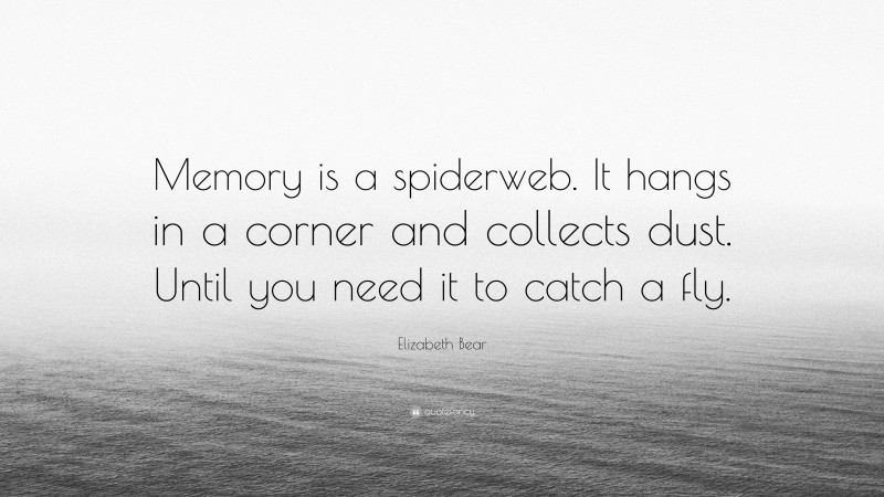 Elizabeth Bear Quote: “Memory is a spiderweb. It hangs in a corner and collects dust. Until you need it to catch a fly.”