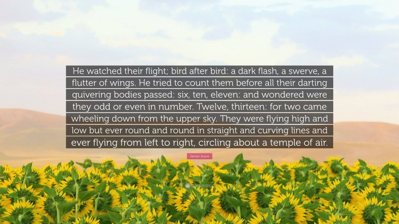 James Joyce Quote: “He watched their flight; bird after bird: a dark flash, a swerve, a flutter of wings. He tried to count them before all their darting quivering bodies passed: six, ten, eleven: and wondered were they odd or even in number. Twelve, thirteen: for two came wheeling down from the upper sky. They were flying high and low but ever round and round in straight and curving lines and ever flying from left to right, circling about a temple of air.”