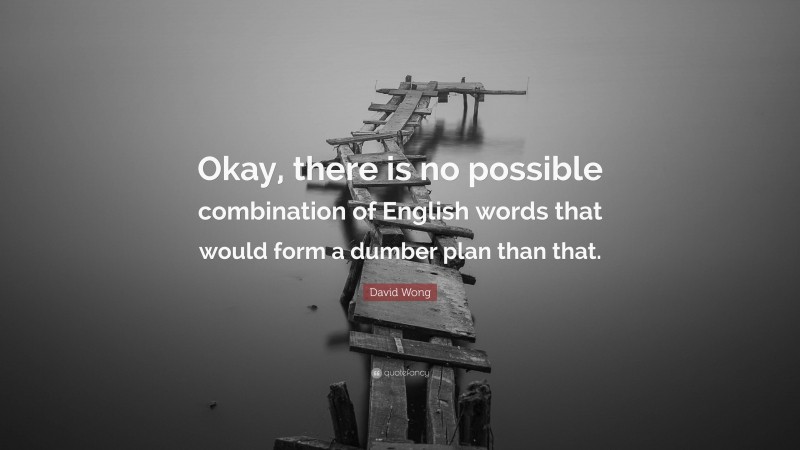 David Wong Quote: “Okay, there is no possible combination of English words that would form a dumber plan than that.”