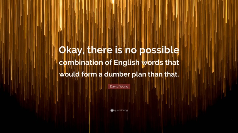 David Wong Quote: “Okay, there is no possible combination of English words that would form a dumber plan than that.”