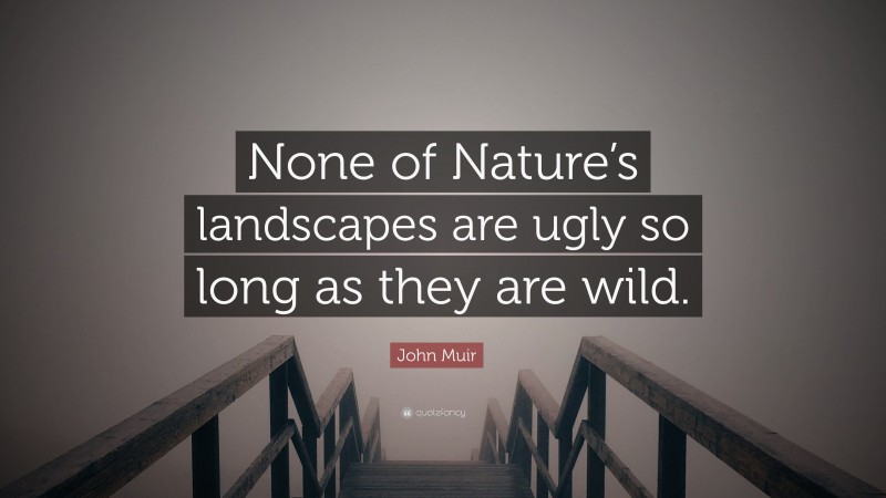 John Muir Quote: “None of Nature’s landscapes are ugly so long as they are wild.”