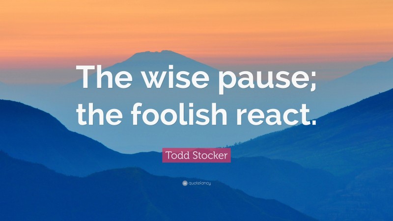 Todd Stocker Quote: “The wise pause; the foolish react.”