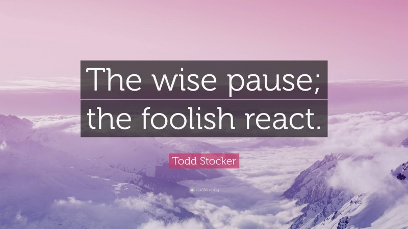 Todd Stocker Quote: “The wise pause; the foolish react.”
