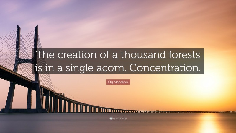 Og Mandino Quote: “The creation of a thousand forests is in a single acorn. Concentration.”