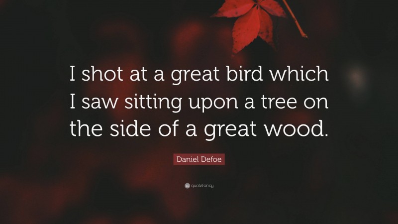 Daniel Defoe Quote: “I shot at a great bird which I saw sitting upon a tree on the side of a great wood.”