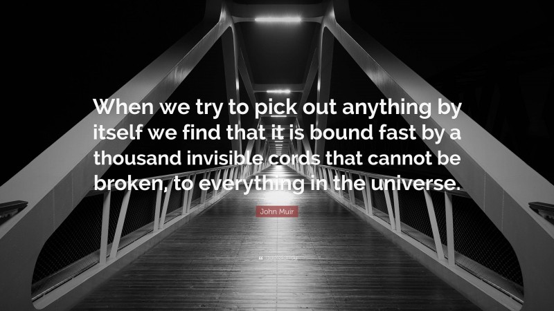 John Muir Quote: “When we try to pick out anything by itself we find that it is bound fast by a thousand invisible cords that cannot be broken, to everything in the universe.”