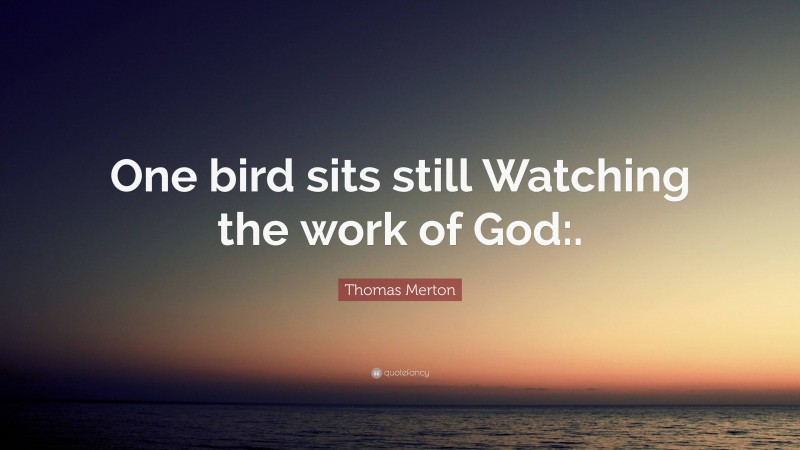 Thomas Merton Quote: “One bird sits still Watching the work of God:.”