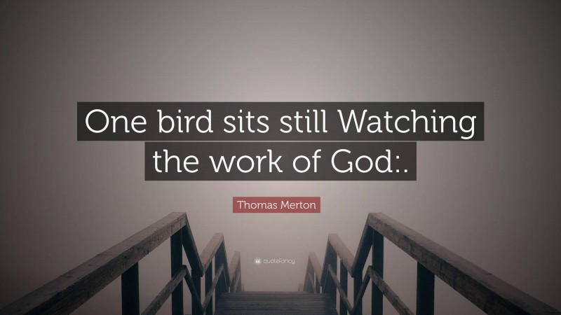 Thomas Merton Quote: “One bird sits still Watching the work of God:.”