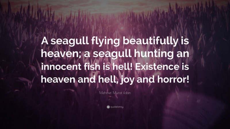 Mehmet Murat ildan Quote: “A seagull flying beautifully is heaven; a seagull hunting an innocent fish is hell! Existence is heaven and hell, joy and horror!”