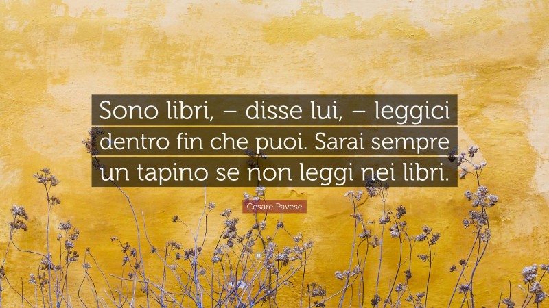 Cesare Pavese Quote: “Sono libri, – disse lui, – leggici dentro fin che puoi. Sarai sempre un tapino se non leggi nei libri.”