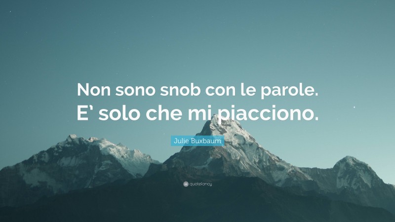 Julie Buxbaum Quote: “Non sono snob con le parole. E’ solo che mi piacciono.”