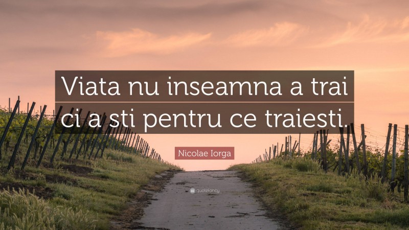 Nicolae Iorga Quote: “Viata nu inseamna a trai ci a sti pentru ce traiesti.”