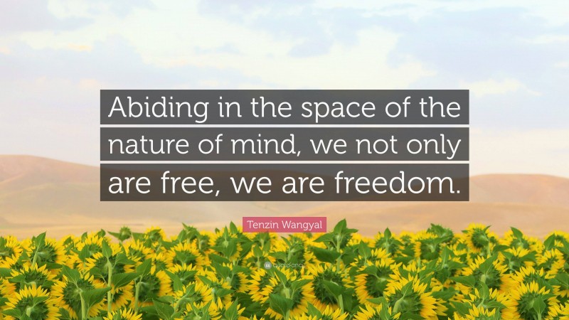 Tenzin Wangyal Quote: “Abiding in the space of the nature of mind, we not only are free, we are freedom.”
