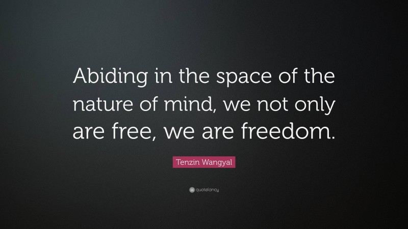 Tenzin Wangyal Quote: “Abiding in the space of the nature of mind, we not only are free, we are freedom.”