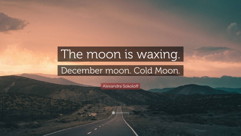 Alexandra Sokoloff Quote: “The moon is waxing. December moon. Cold Moon.”