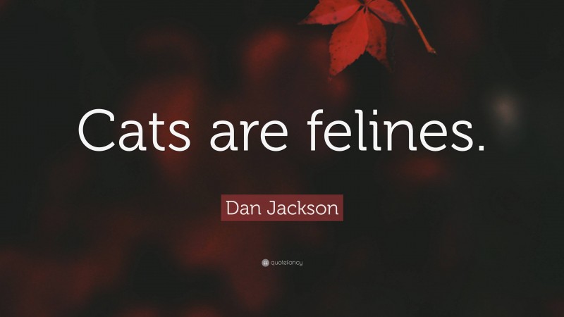 Dan Jackson Quote: “Cats are felines.”